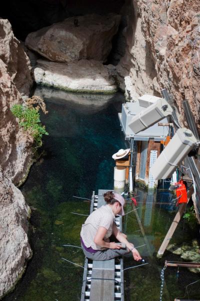 Research Platform in Devils Hole