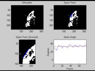 Example of Feedback from Motion-Tracking Technology (2 of 2)