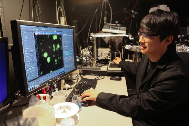 Engineered Coatings Can Promote or Disrupt Bacterial Communication