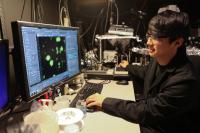 Engineered Coatings Can Promote or Disrupt Bacterial Communication