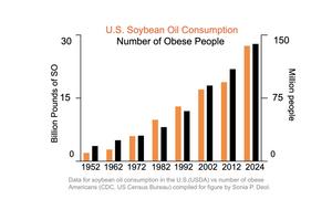 rise in soybean oil consumption vs obesity