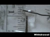 Electrochemical Withdrawal and Injection of the Liquid Metal in Capillary