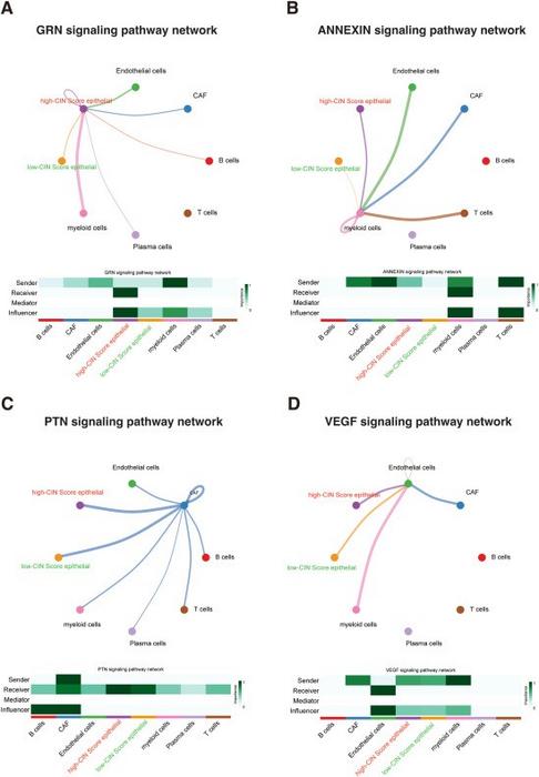 Cellular interaction analysis by CellChat.