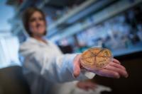 The Microbiome and Obesity
