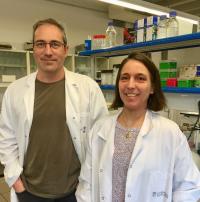 Neurogenetics Research Group - UB