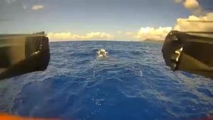 Drone-based application of whale tags: A “tap-and-go” approach for scientific animal-borne investigations