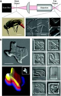 Protein Microstructures