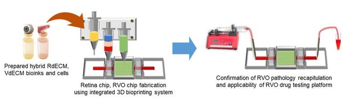 Fabrication Process of Artificial Retina-on-a-Chip and RVO Model Implemented with Retinal-Derived Bioink and 3D Bioprinting