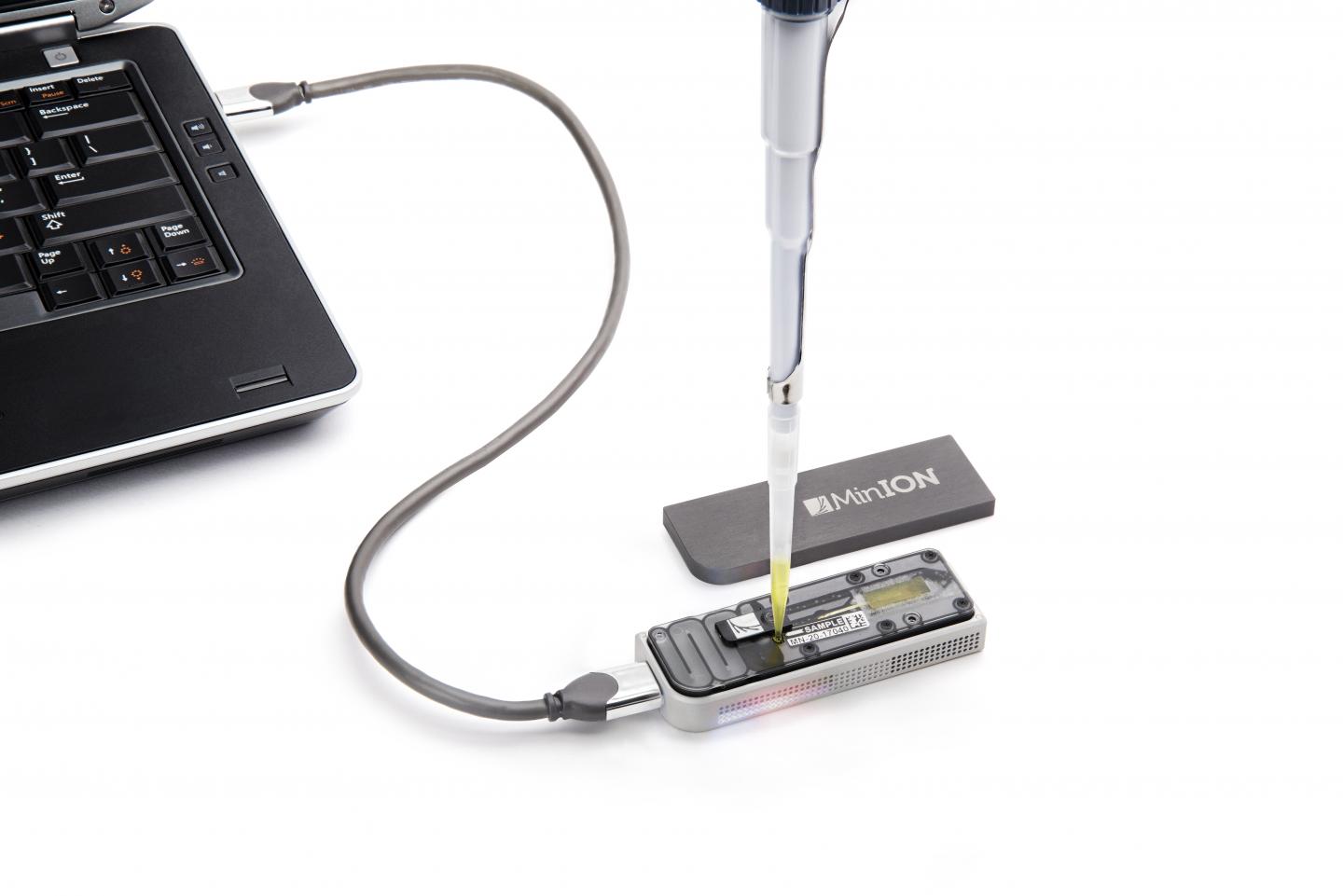 MinION Nanopore DNA Sequencing Technology