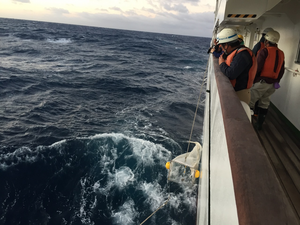 Collecting Microplastics