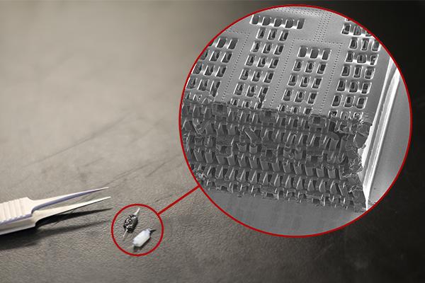 Tissue Scaffold