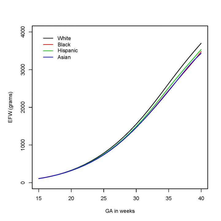 Fetal Growth Chart by Ethnicity