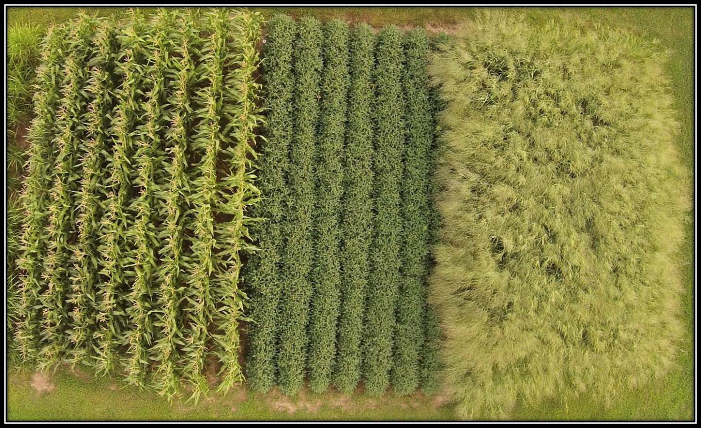 Drone Image