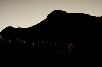 Cracked Skin and Crocodile Scales (5 of 6)