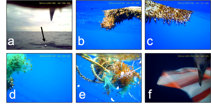 Figure2