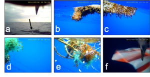 Figure2