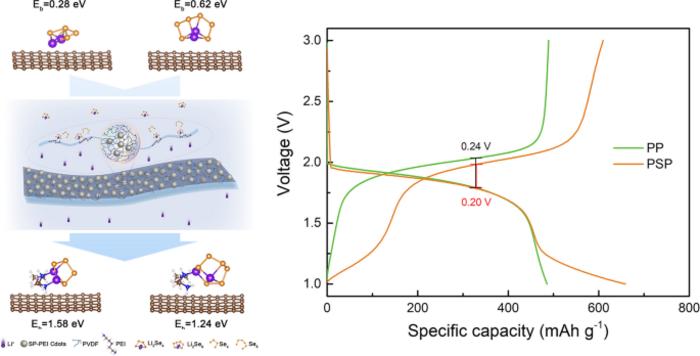 Reinforcing conversion of polyselenides via a bifunctional blocking layer for efficient Li-Se batteries