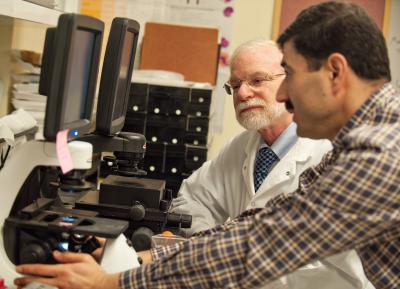 Max Wicha and Hasan Korkaya, University of Michigan Health System