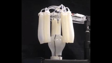 GIF: Gripper Screwing Light Bulb In