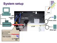 System Setup