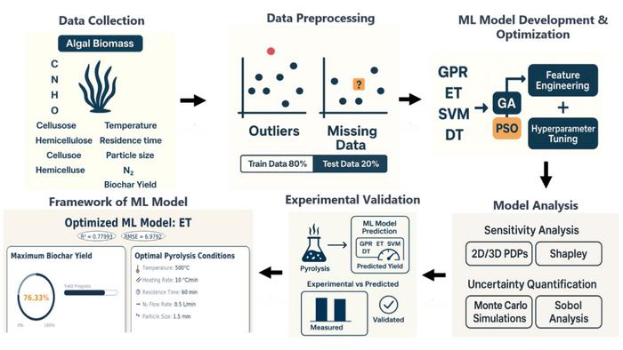 Machine learning optimization for algal biochar yield: integrating experimental validation and sensitivity analysis