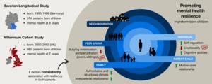Graphical Abstract for Promoting Mental Health Resilience in Preterm Born Children