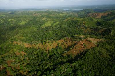 Agua Salud Project Panama Canal Watershed
