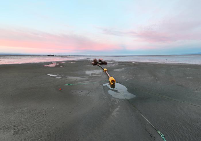 Researchers are testing whether rebuilt tidal marshes made from Fraser River sediment can protect Richmond from rising seas while restoring habitat and storing carbon.