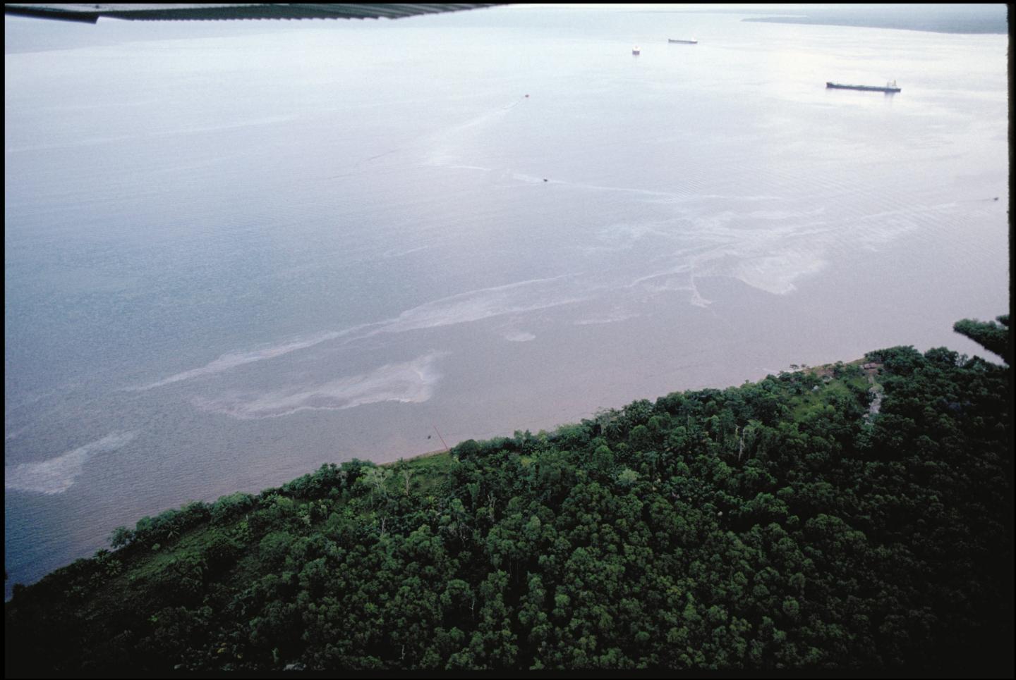 Bahia Las Minas Oil Spill