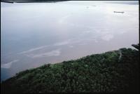 Bahia Las Minas Oil Spill