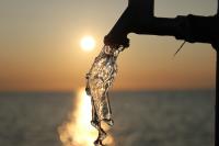How Many Protozoa Are in the Water We Drink?