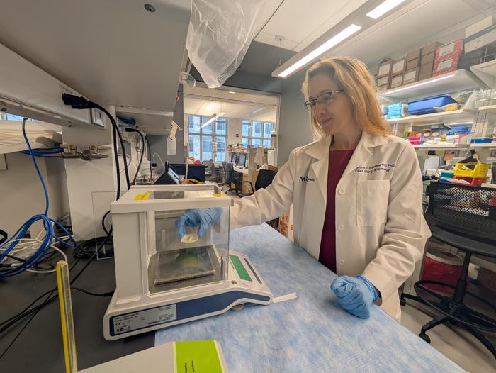Study author Dr. Stephanie Eisenbarth conducting allergy research