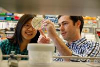 Protein Design Research