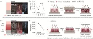 Breakthrough in Sodium Batteries: Gradient Anode Enables 200 Wh kg-1 Energy Density and Dendrite-Free Cycling