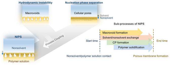 Multi-process coupling in NIPS
