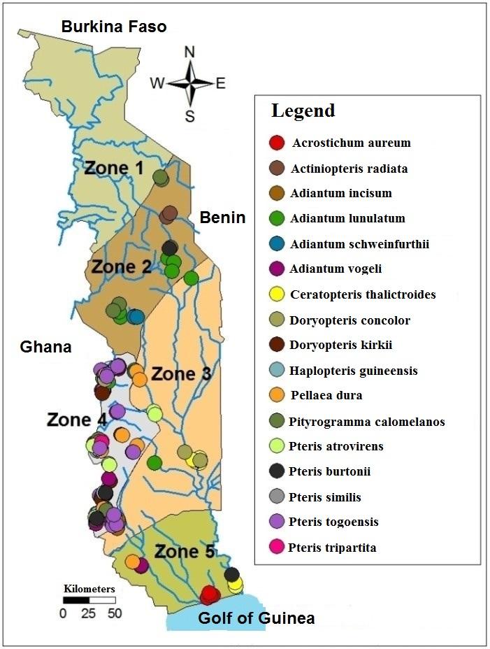 Geographic Distribution