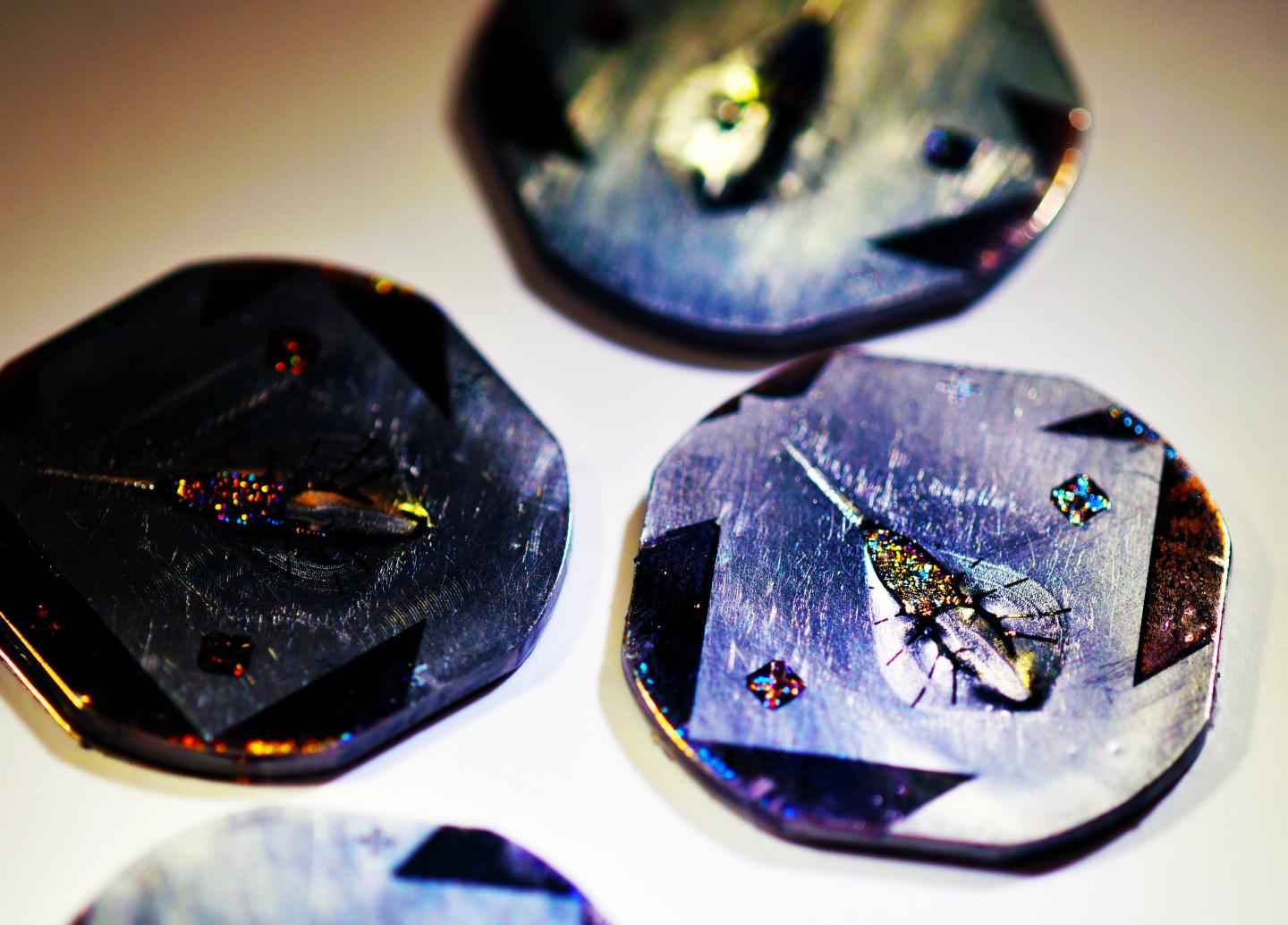 The Debut of a Robotic Stingray, Powered by Light-Activated Rat Cells (5 of 18)