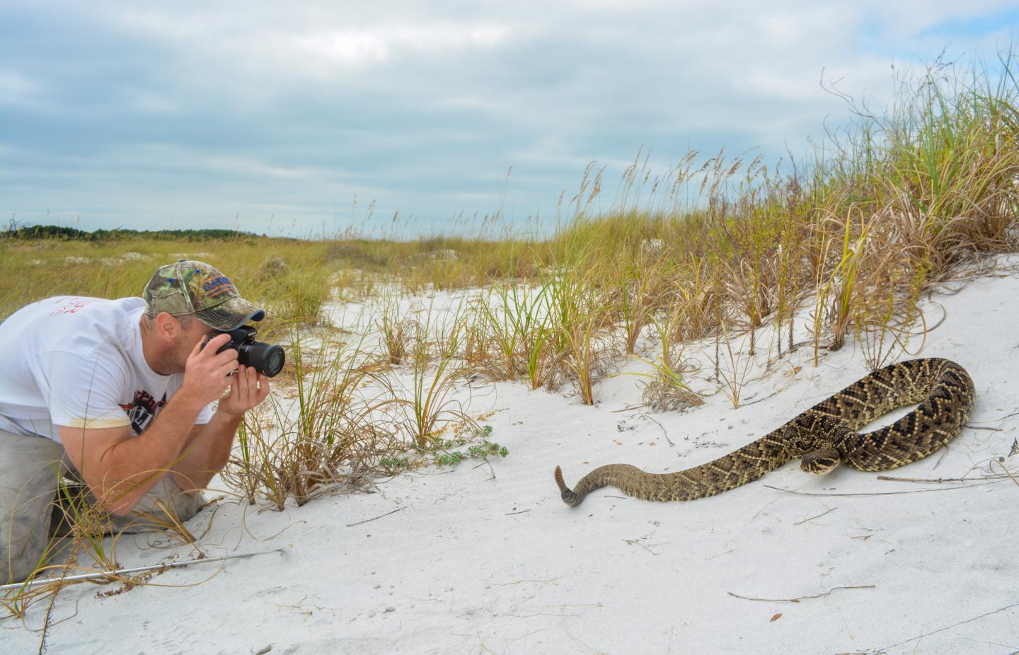 Mark Margres, assistant professor of biology, University of South Florida