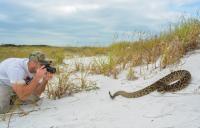 Mark Margres, assistant professor of biology, University of South Florida
