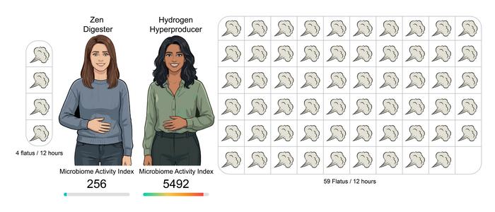 Different flatus categories