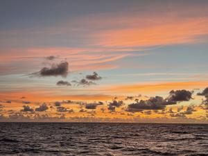 Open ocean study site