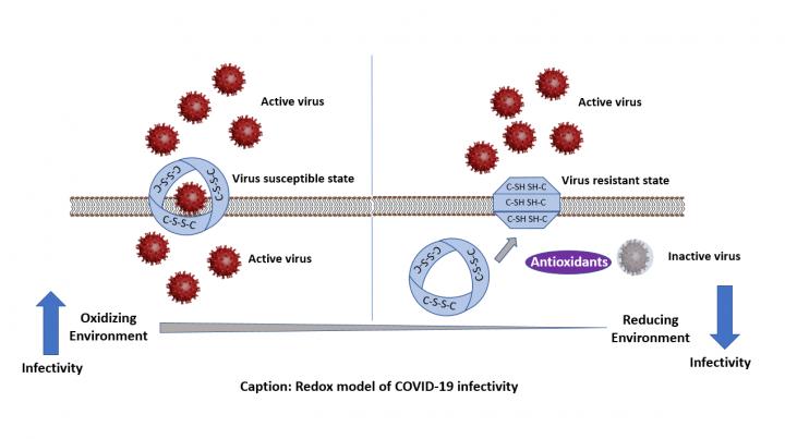 What makes certain groups more vulnerable to COVID-19?