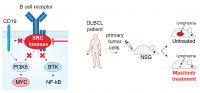 Infographic Summary of the Study