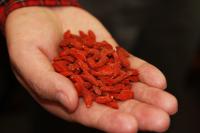 Chinese Wolfberries