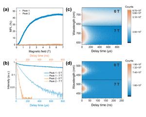 Spin-configuration of emission states in zero-dimensional metal halides