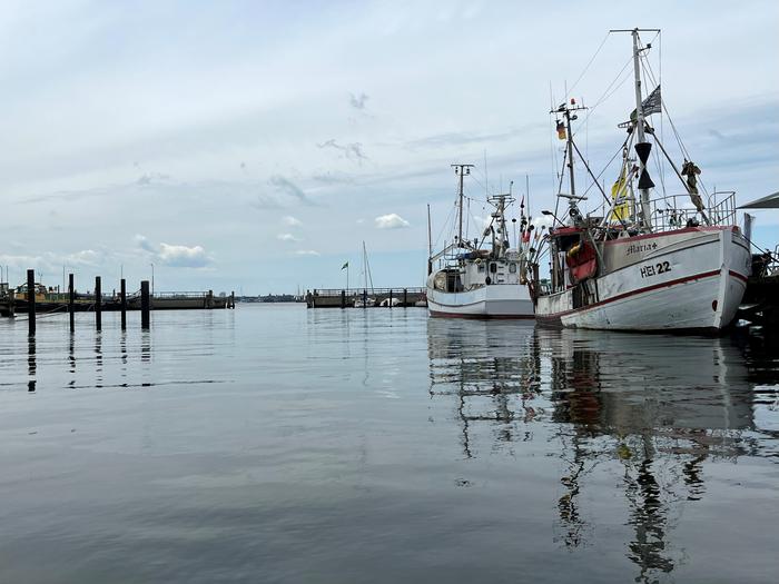 Herring fisheries