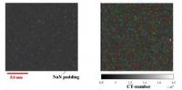 Pseudotargets