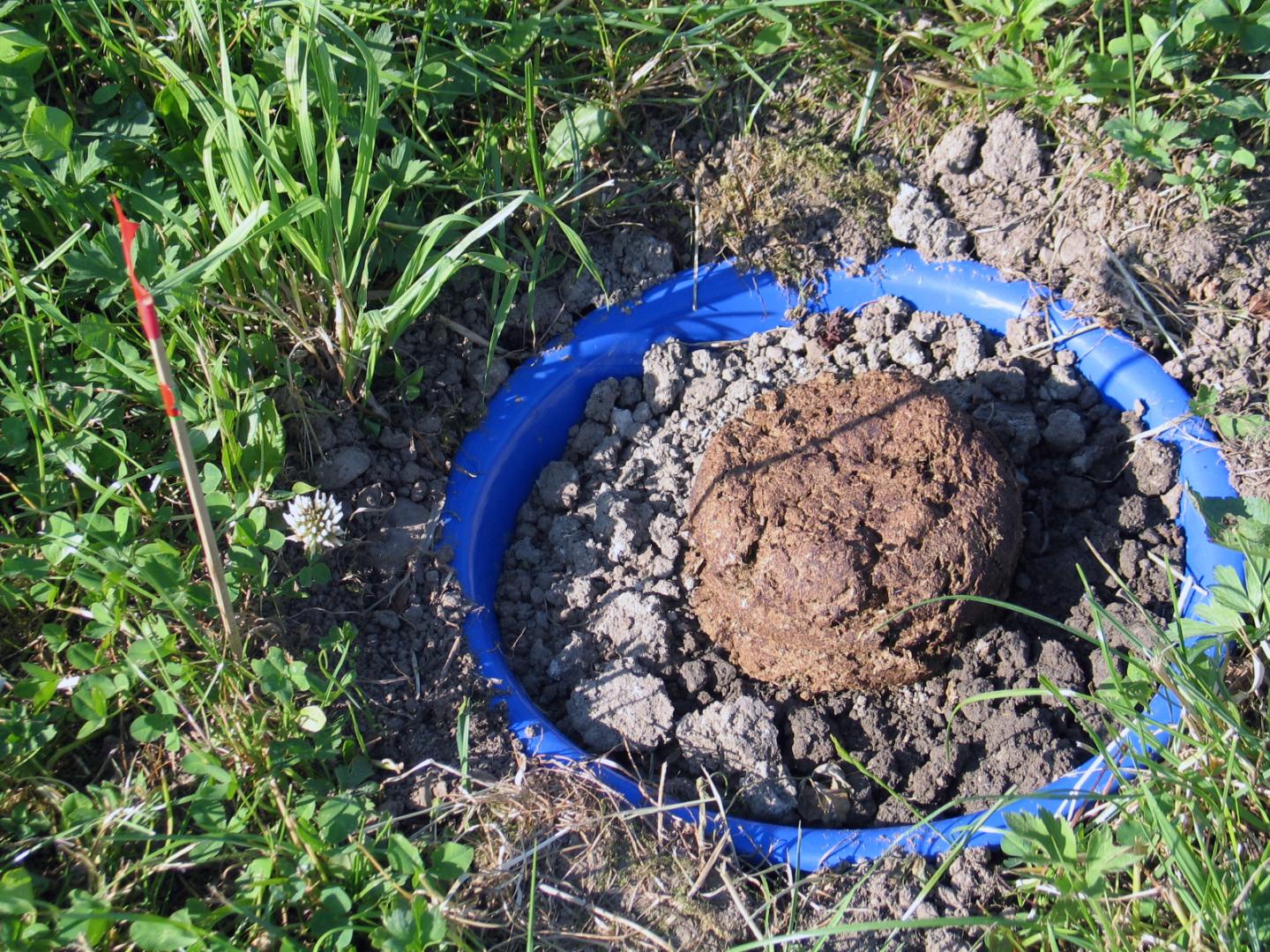 New Approach for Environmental Test on Livestock Drugs