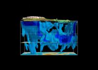 Rotating View of 3-D Tomography Below Tibetan Plateau