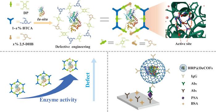 Engineering covalent organic frameworks with defect for high-performance immunosensor